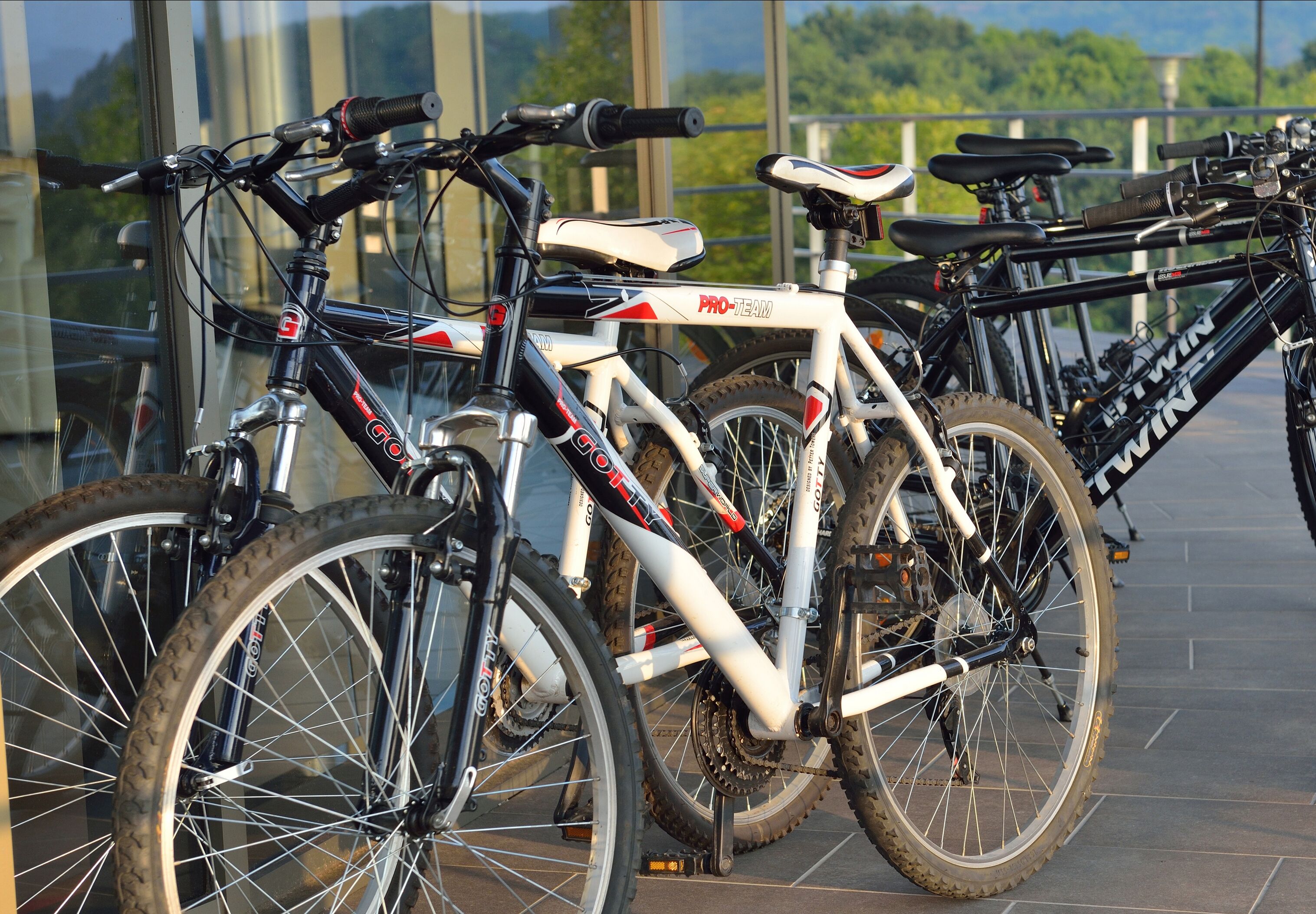 A row of bicycles parked indoors with a view of greenery outside.