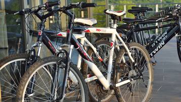 A row of bicycles parked indoors with a view of greenery outside.