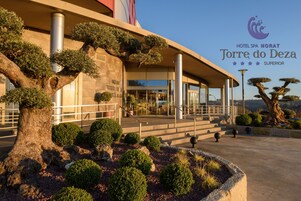 A modern hotel entrance with a large tree and well-maintained landscaping.