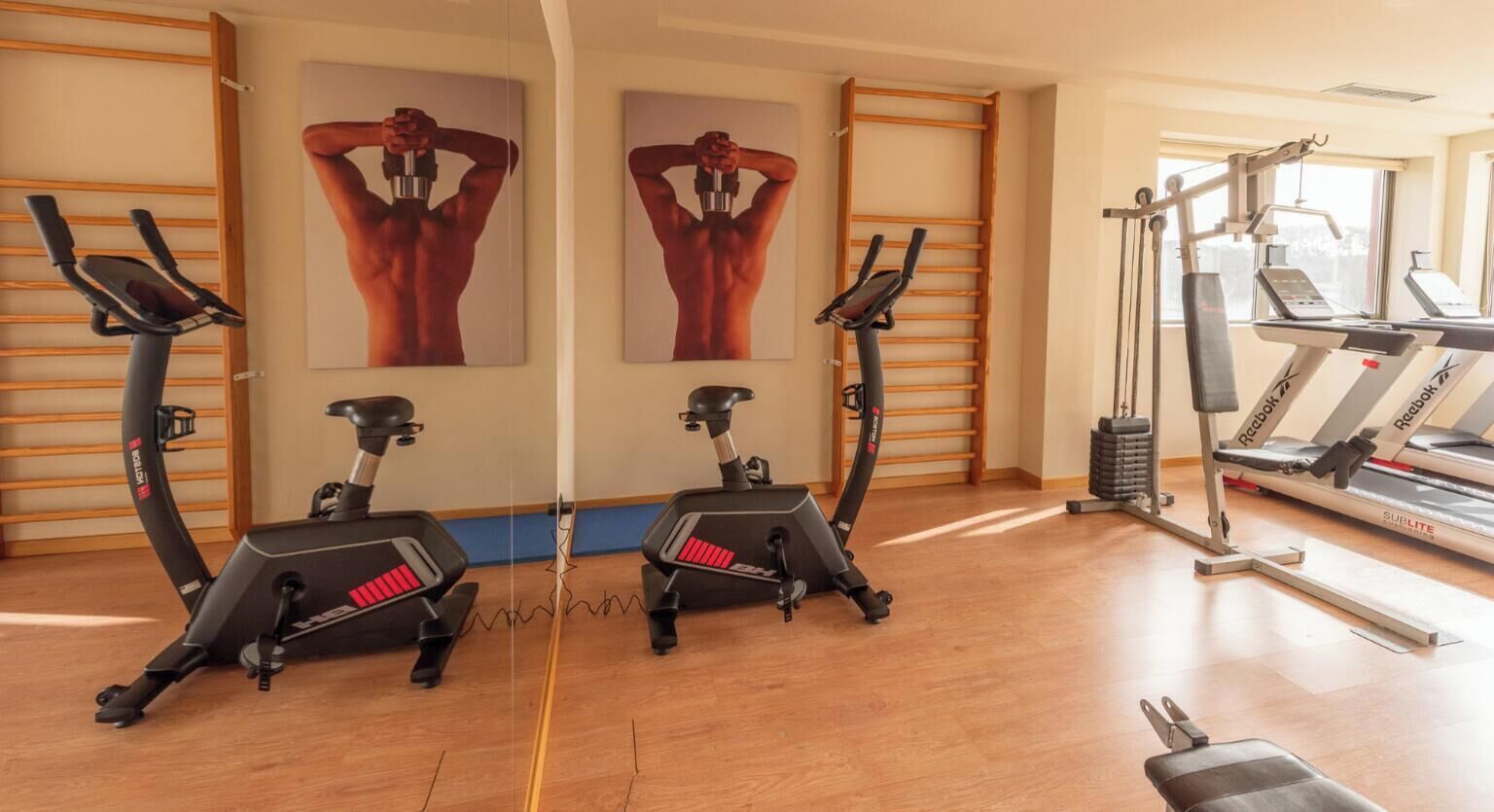 A gym with two elliptical machines, a treadmill, and a wall-mounted exercise bike.