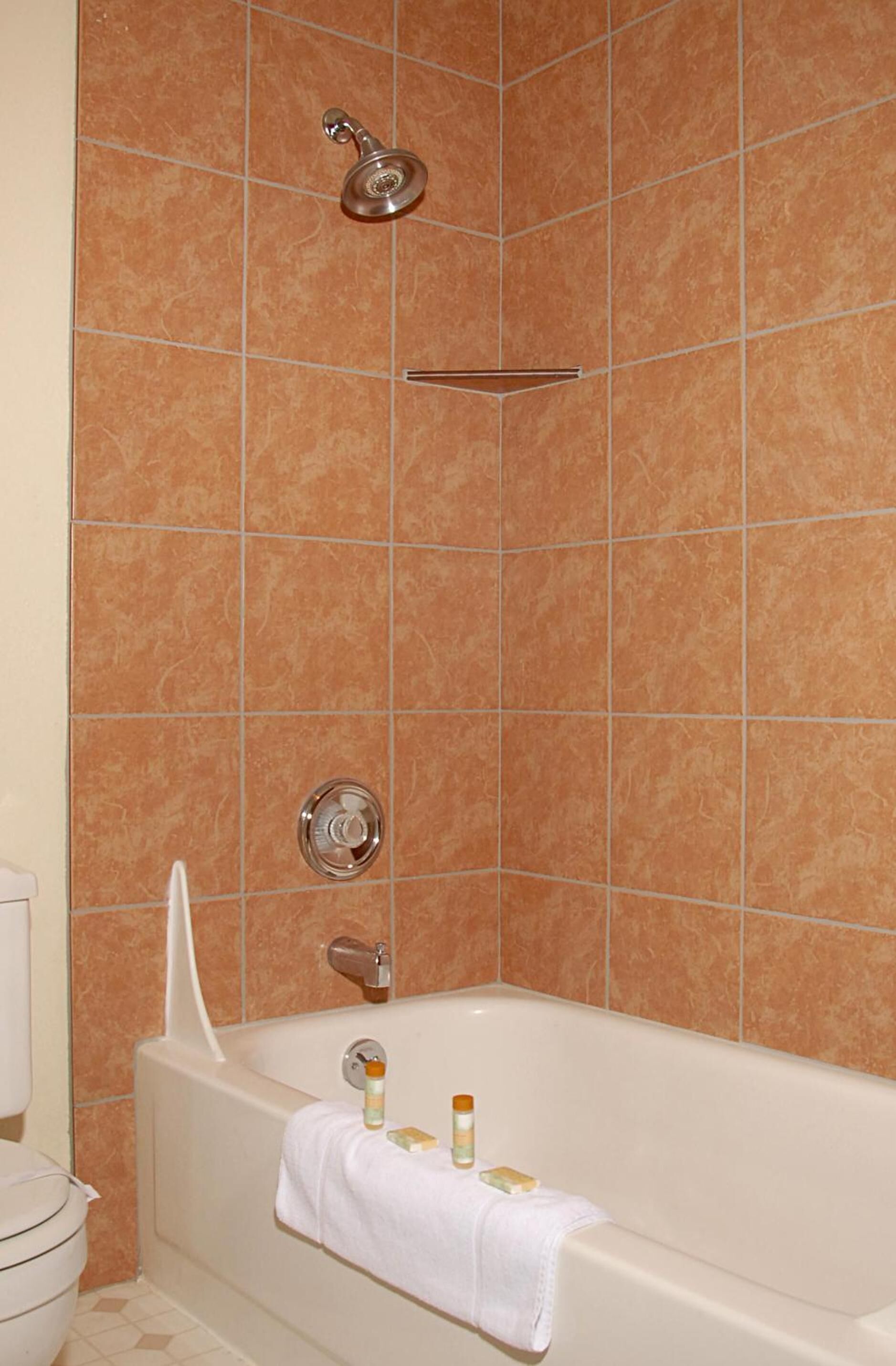 A bathroom with a bathtub, a showerhead, and a toilet.