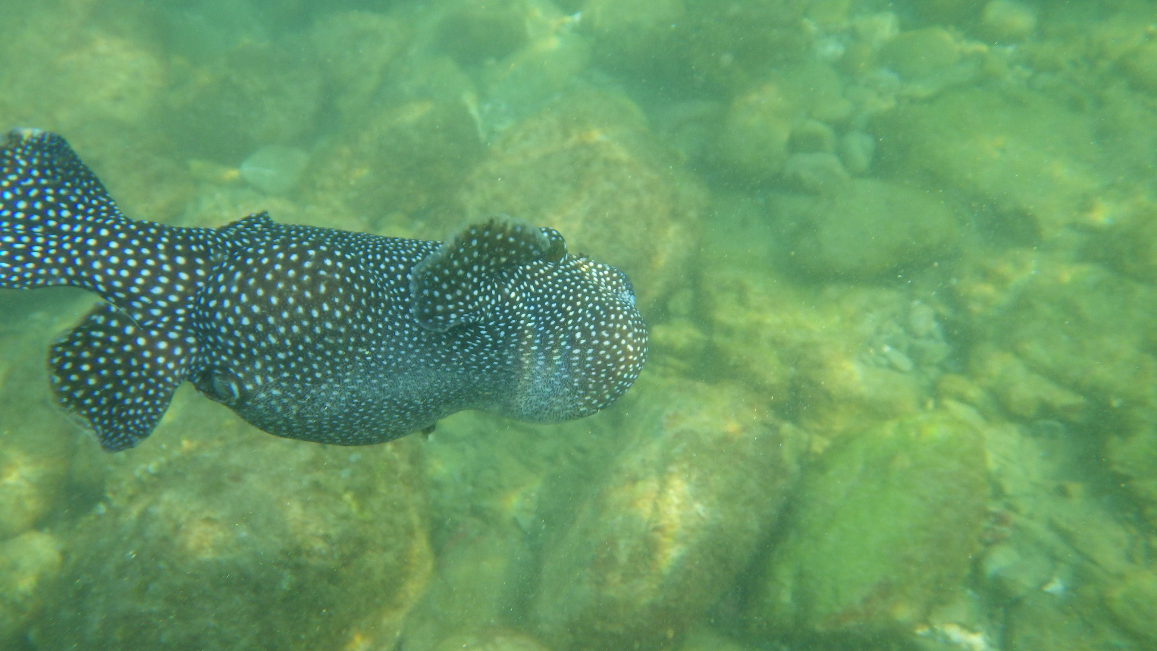 beach nearby, white sand