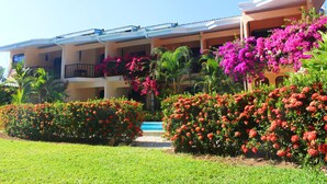 Ein Hotel mit Schwimmbad, umgeben von üppiger Vegetation und farbenprächtigen Blumen.