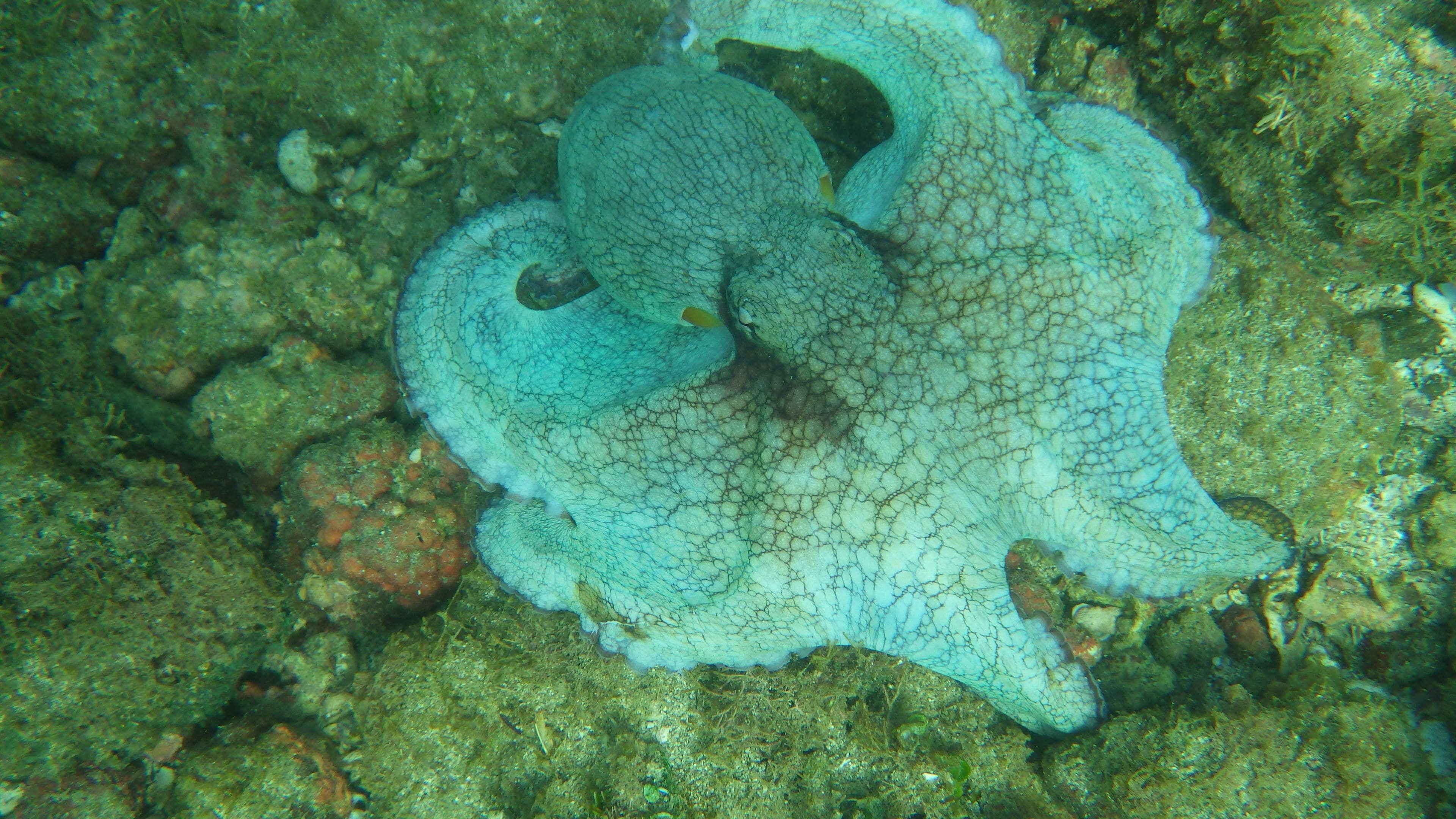 beach nearby, white sand