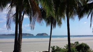 Ein Strand mit Palmen und einer entfernten Insel.