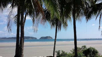 靠近海滩、白沙