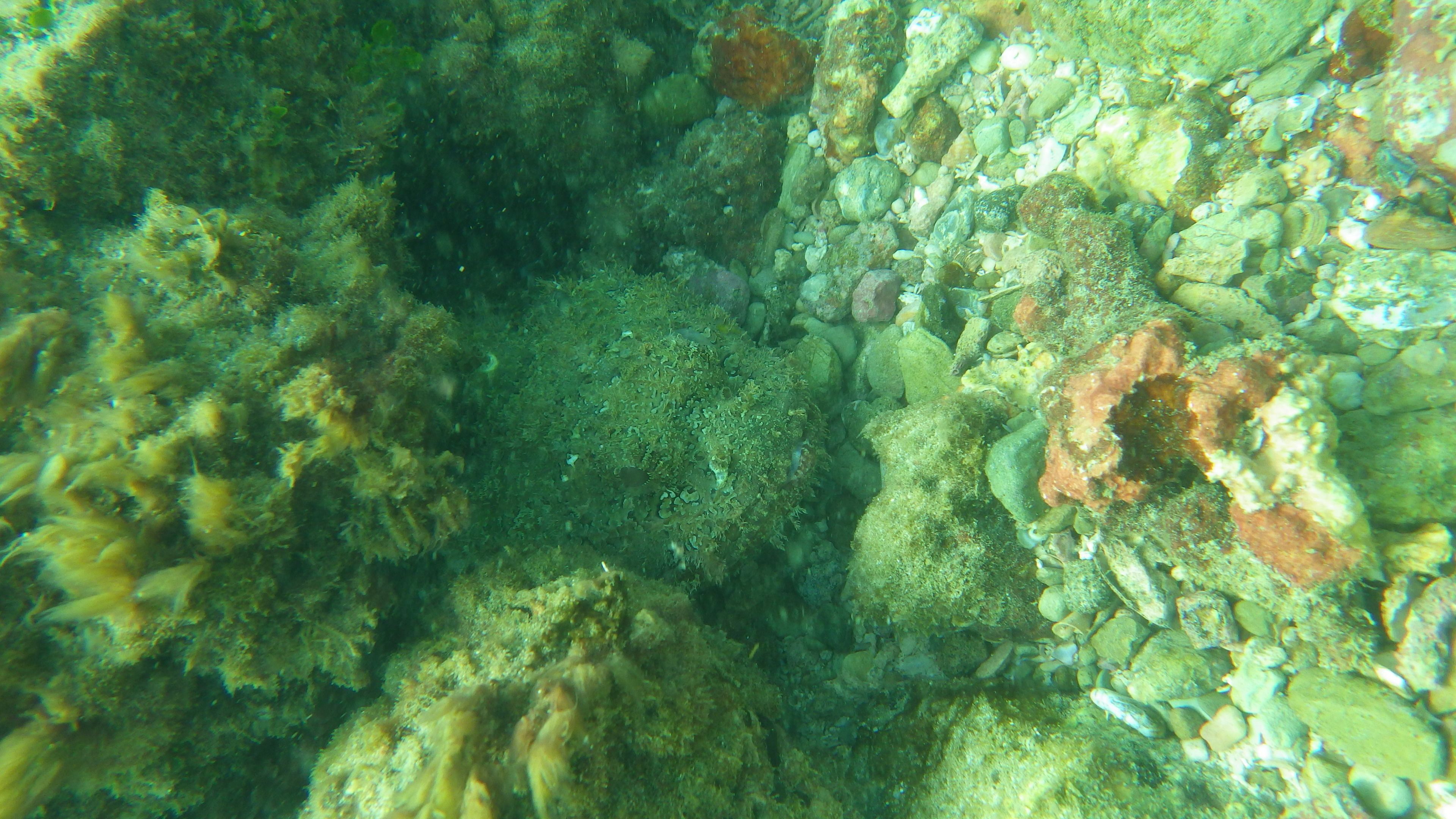 beach nearby, white sand