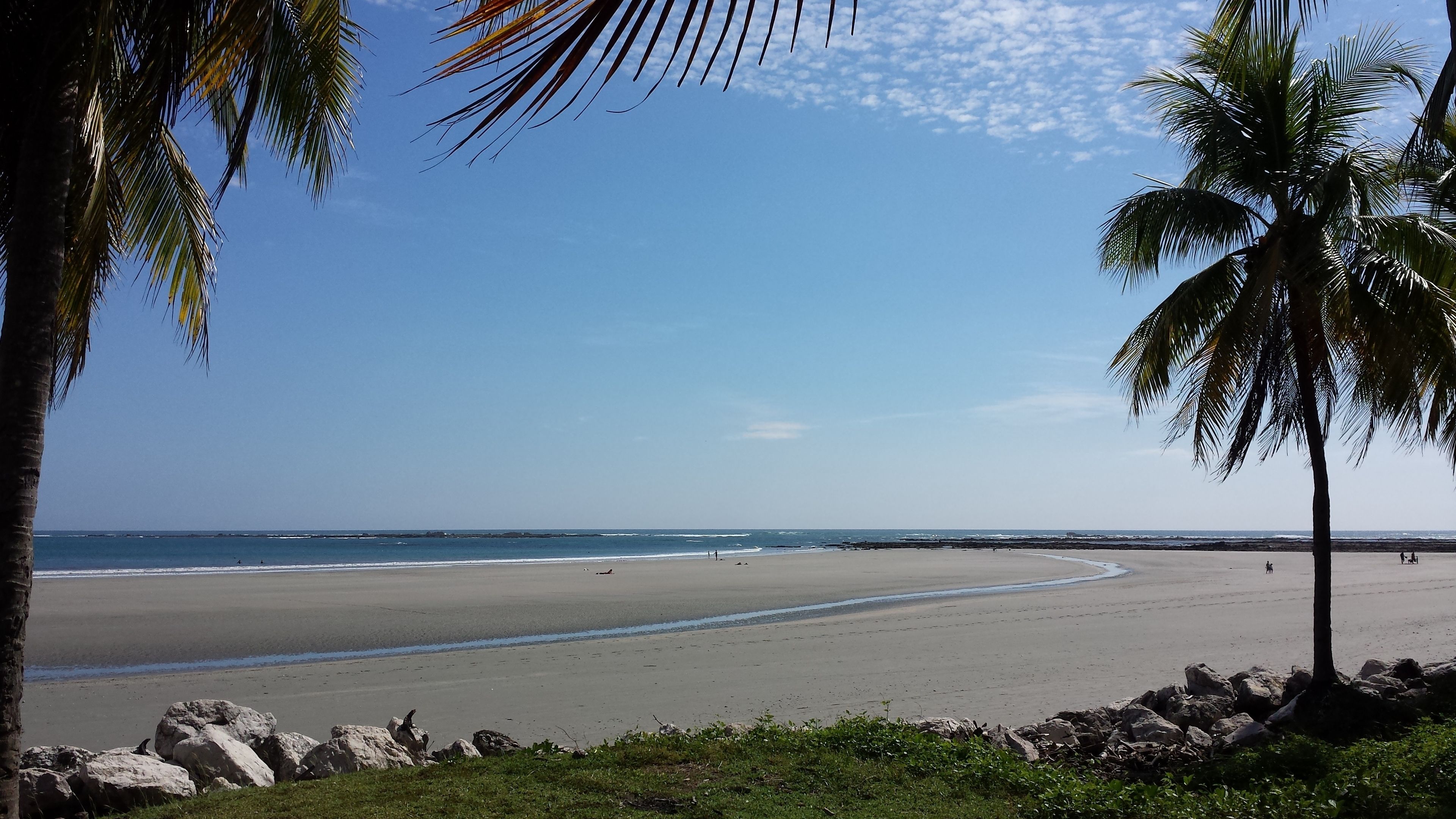 Ein Strand mit Palmen, blauem Himmel und dem Meer.