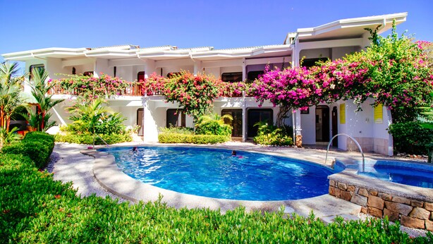 A pool area with a clear blue pool, surrounded by lush greenery and flowering plants.