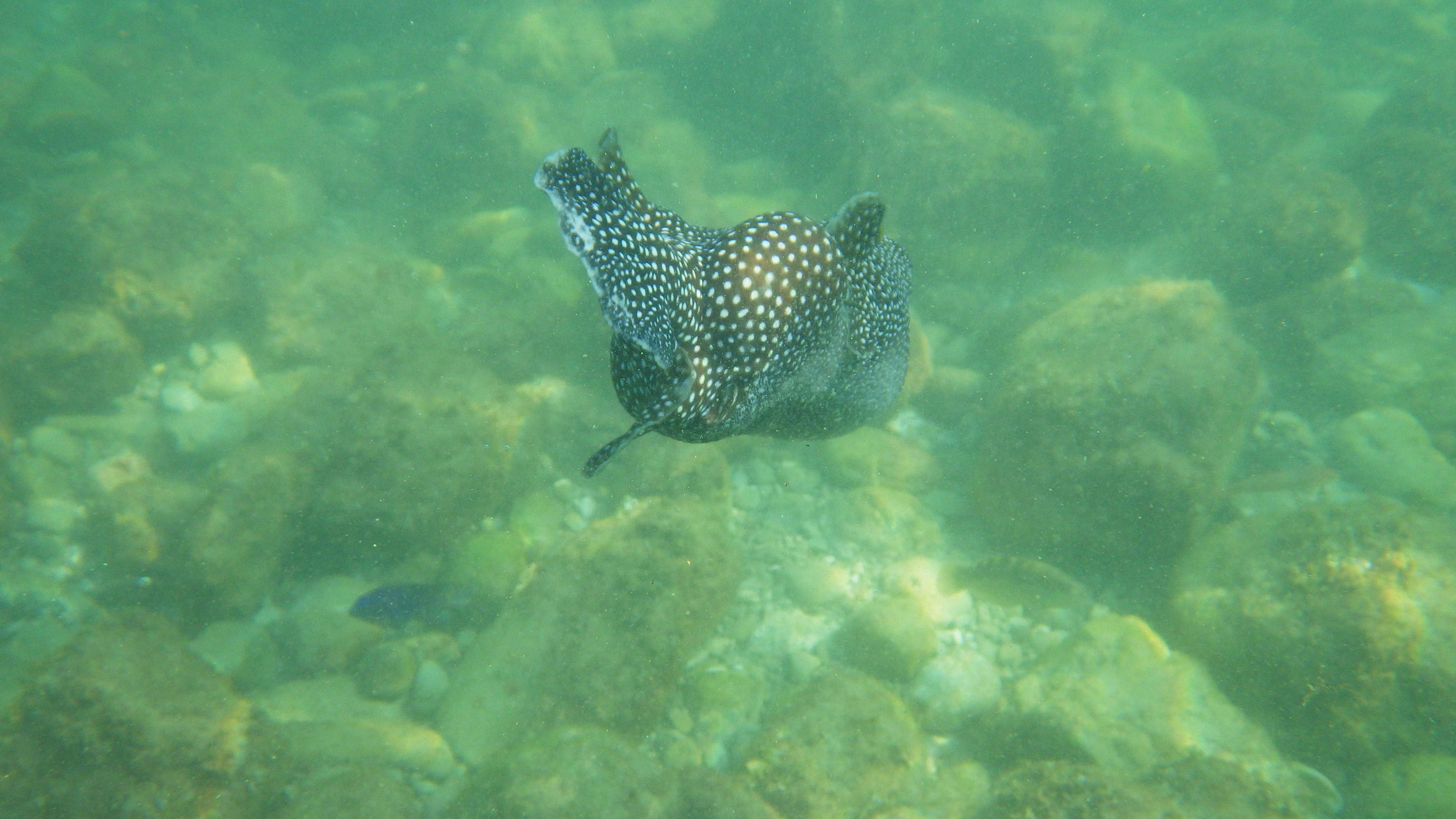 beach nearby, white sand