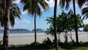 A beach with palm trees and a view of the ocean.
