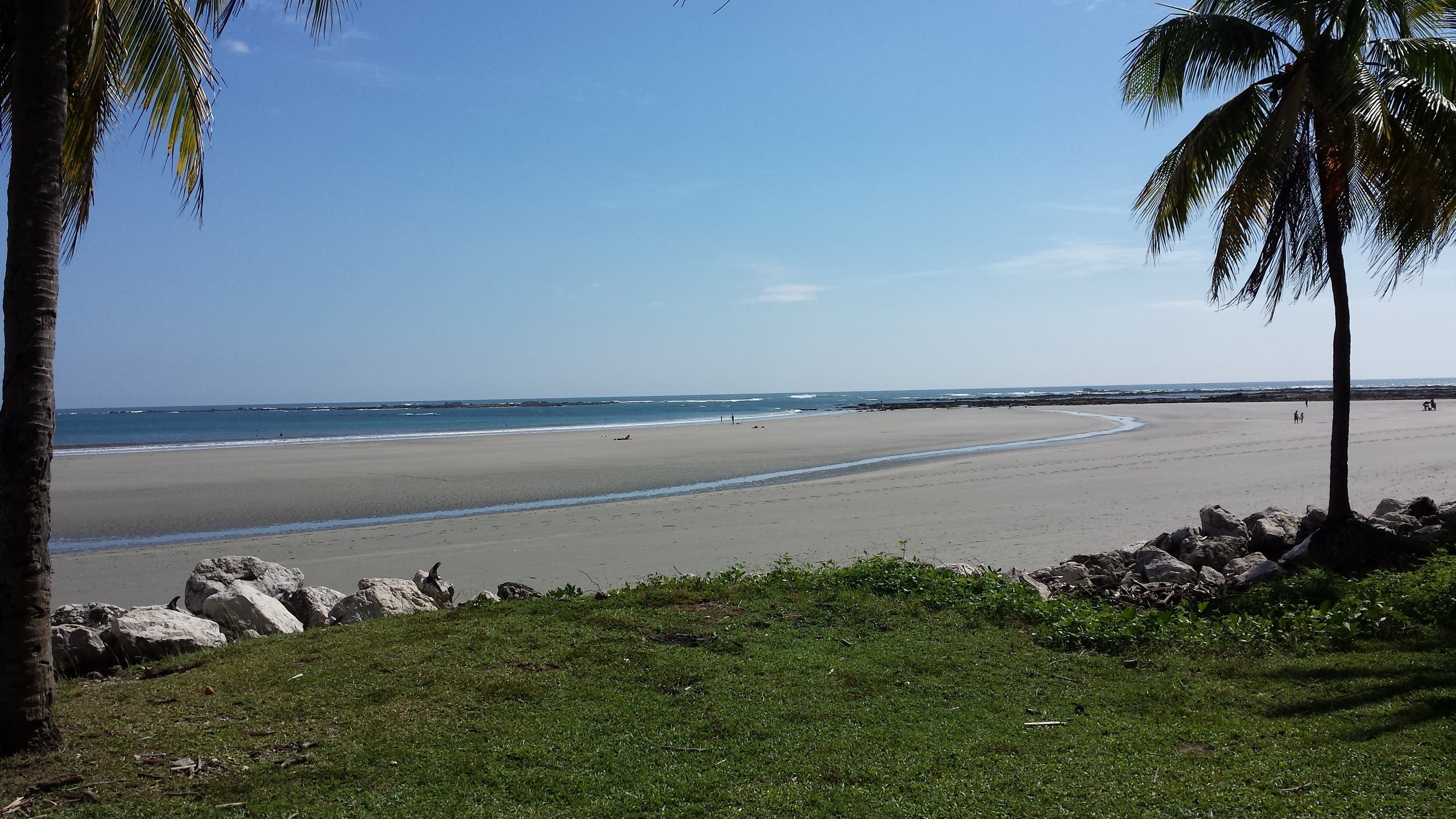 Una playa con una costa curva, palmeras y afloramientos rocosos.