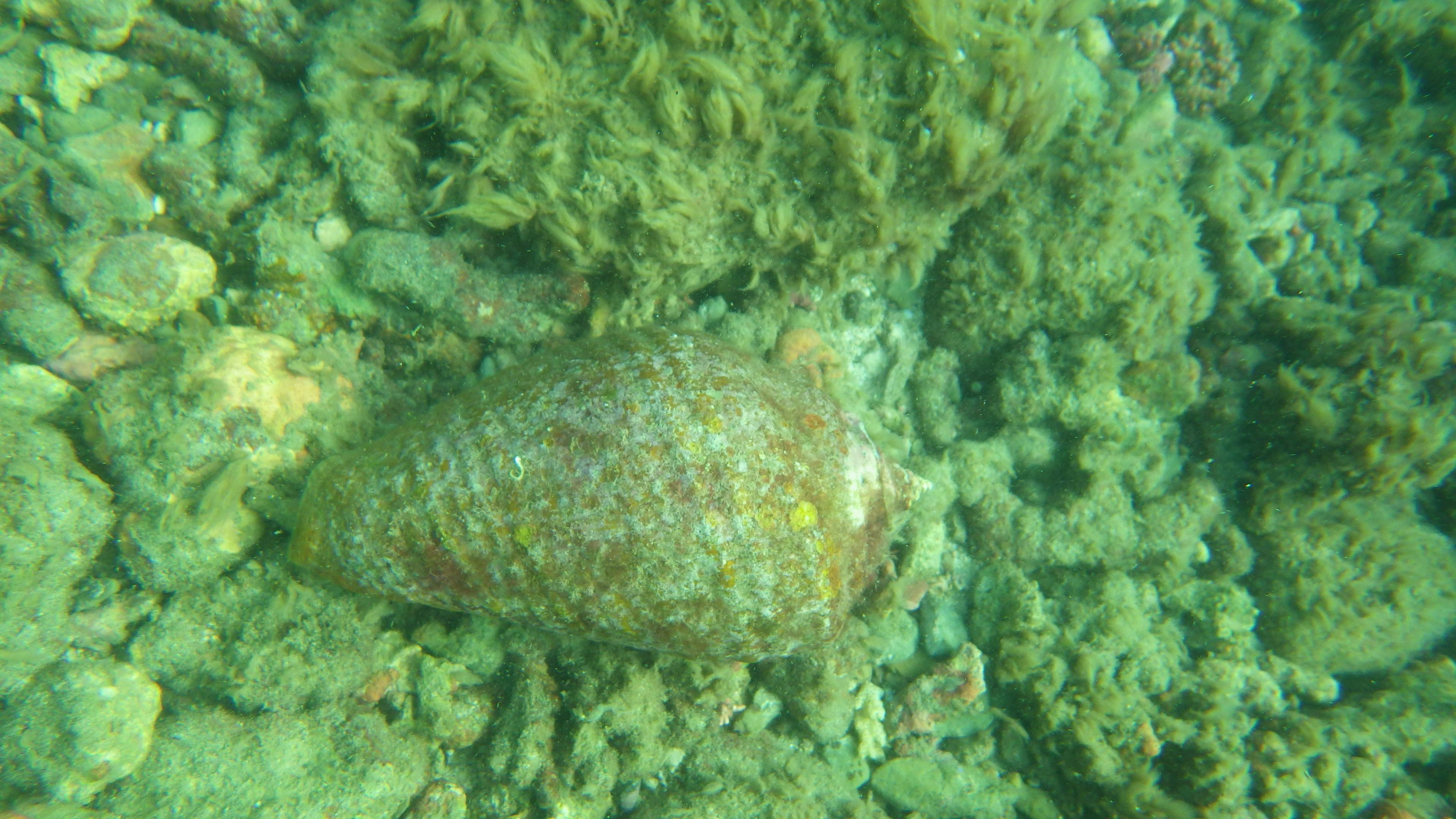 beach nearby, white sand