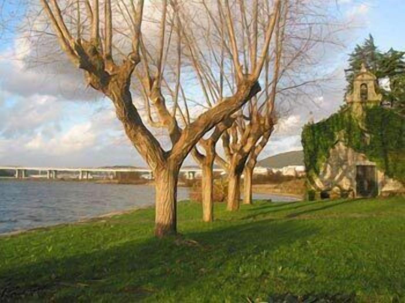 Foto - Pazo da Merced