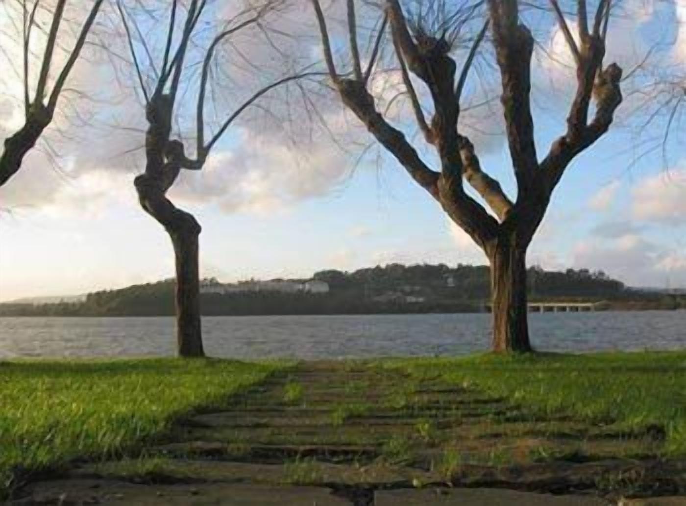 Foto - Pazo da Merced