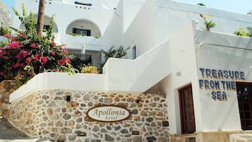 Detalle exterior