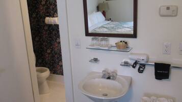 A bathroom with a sink, mirror, and toilet. There is a floral-patterned rug on the floor.