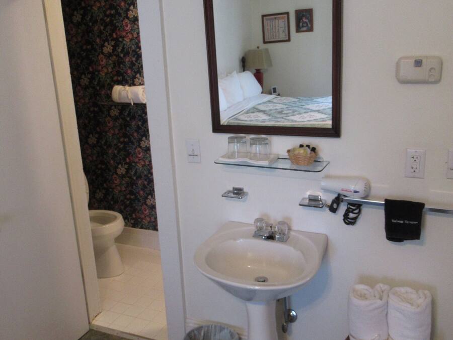 A bathroom with a sink, mirror, and toilet. There is a floral-patterned rug on the floor.