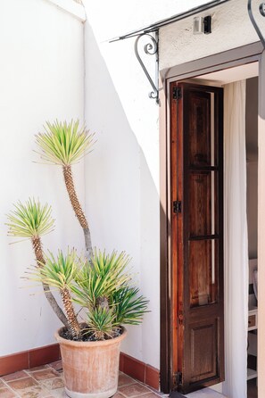 Superior Tek Büyük Yataklı Oda, Teras | Teras/veranda