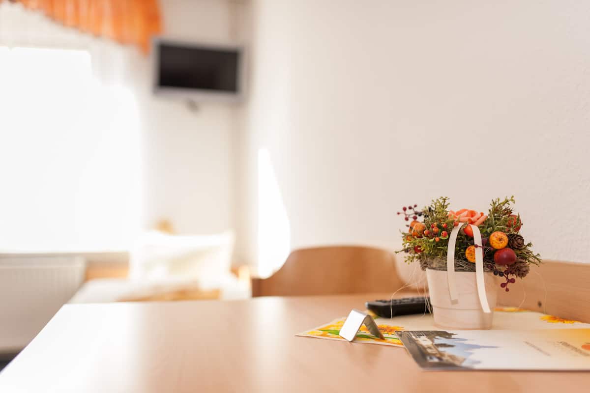 A table with a potted plant, a remote control, and some papers.