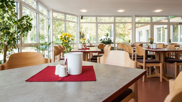Un comedor con mesas y sillas, ventanas amplias y plantas de interior.