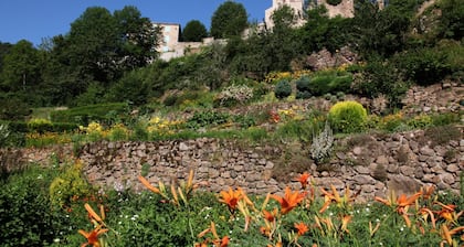 Les Etoiles du Forez