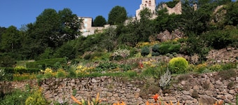 Les Etoiles du Forez