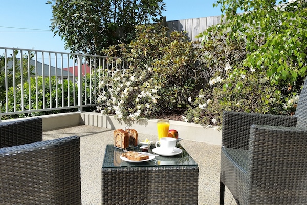 Superior Studio, 1 King Bed | Courtyard view