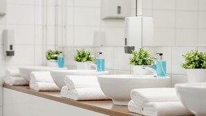 Un baño moderno con varios lavamanos, toallas blancas y pequeñas macetas.