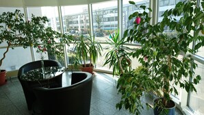 A spacious indoor area with large windows, potted plants, and a black chair. - Central Hotel (Winnenden)