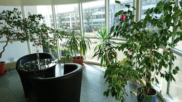 Khuôn viên nơi lưu trú