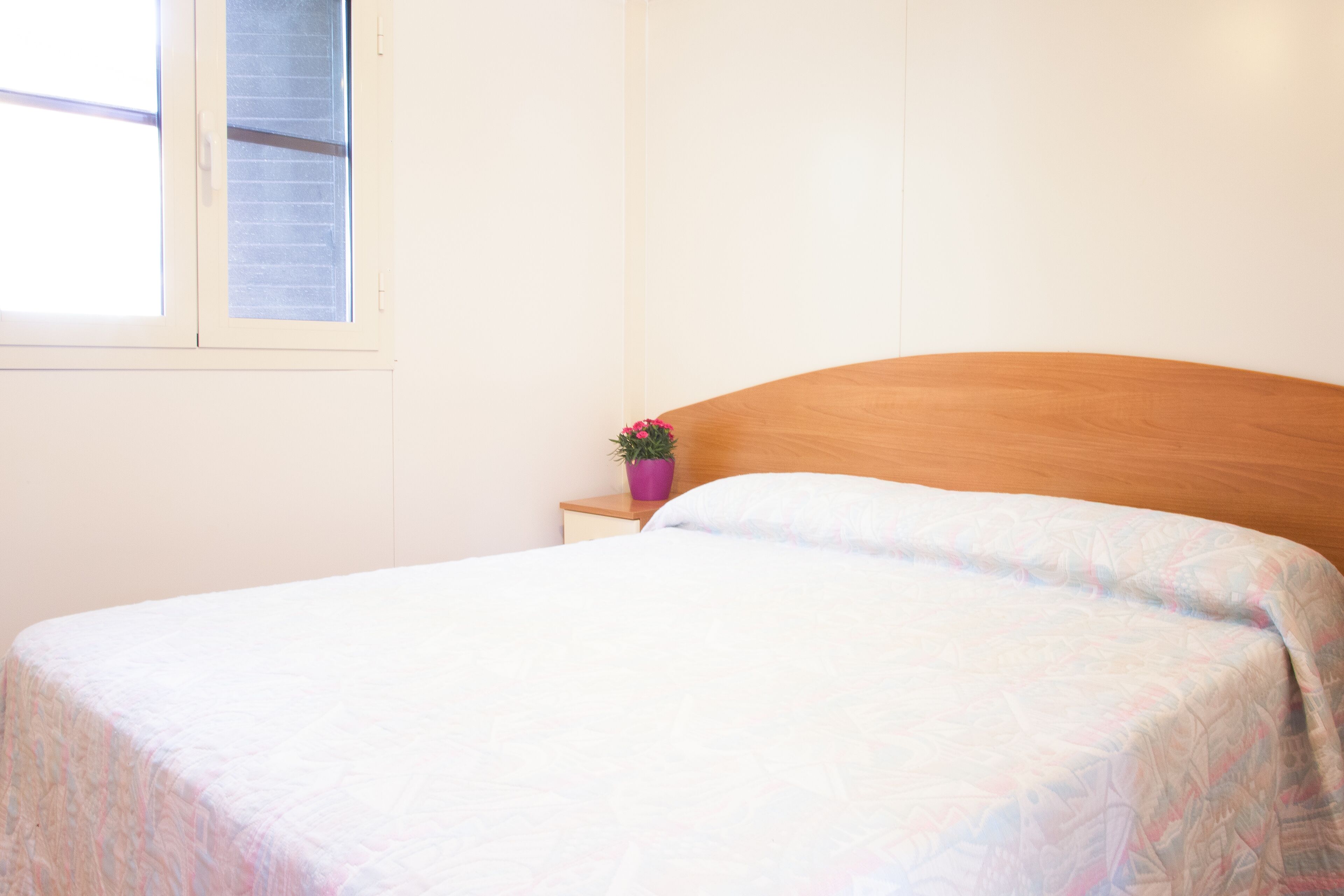 A bedroom with a wooden headboard, a single bedside table with a potted plant, and a window with blinds.