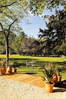 A garden with a wooden deck, potted plants, and a grassy lawn.