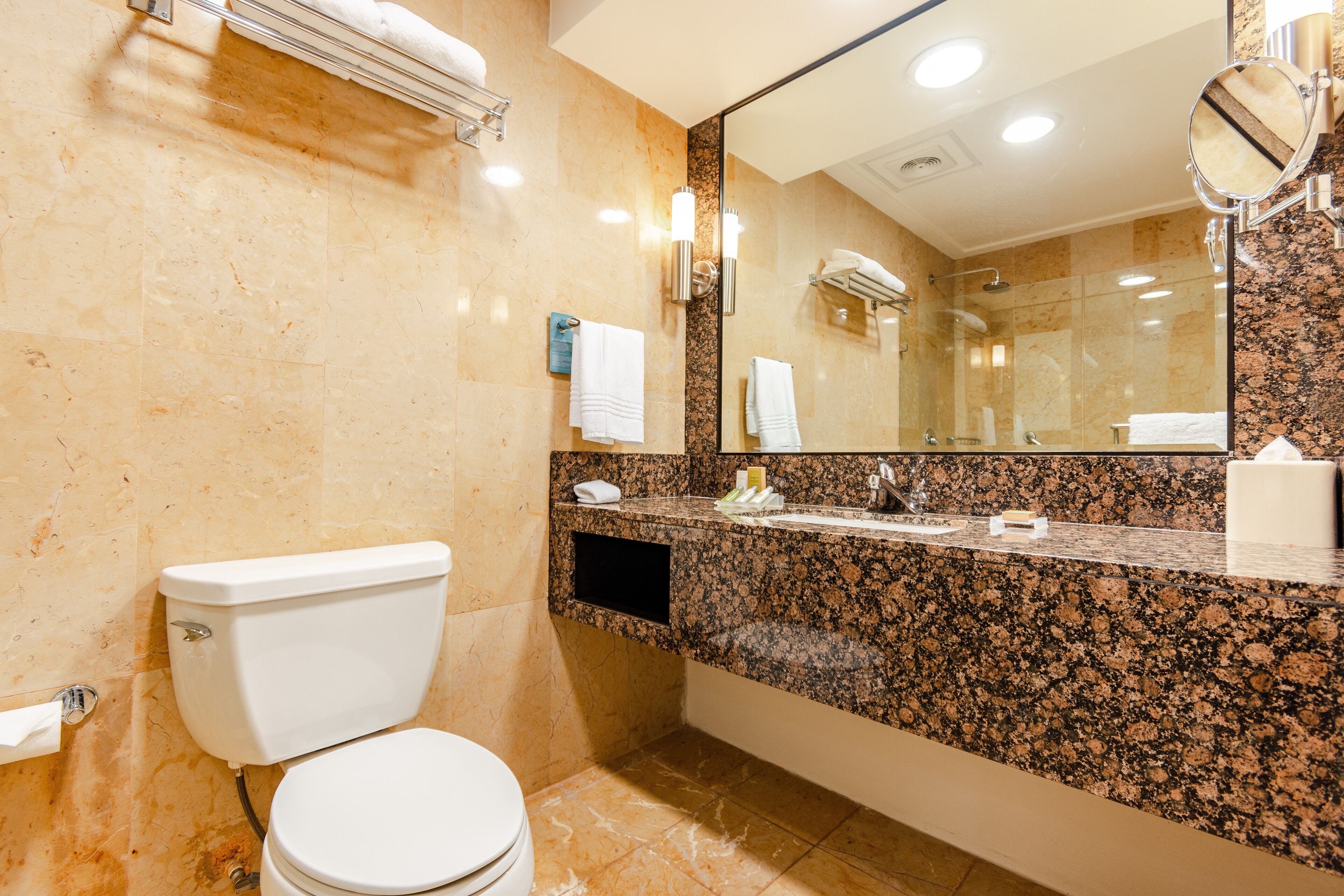 A bathroom with a toilet, sink, and mirror.