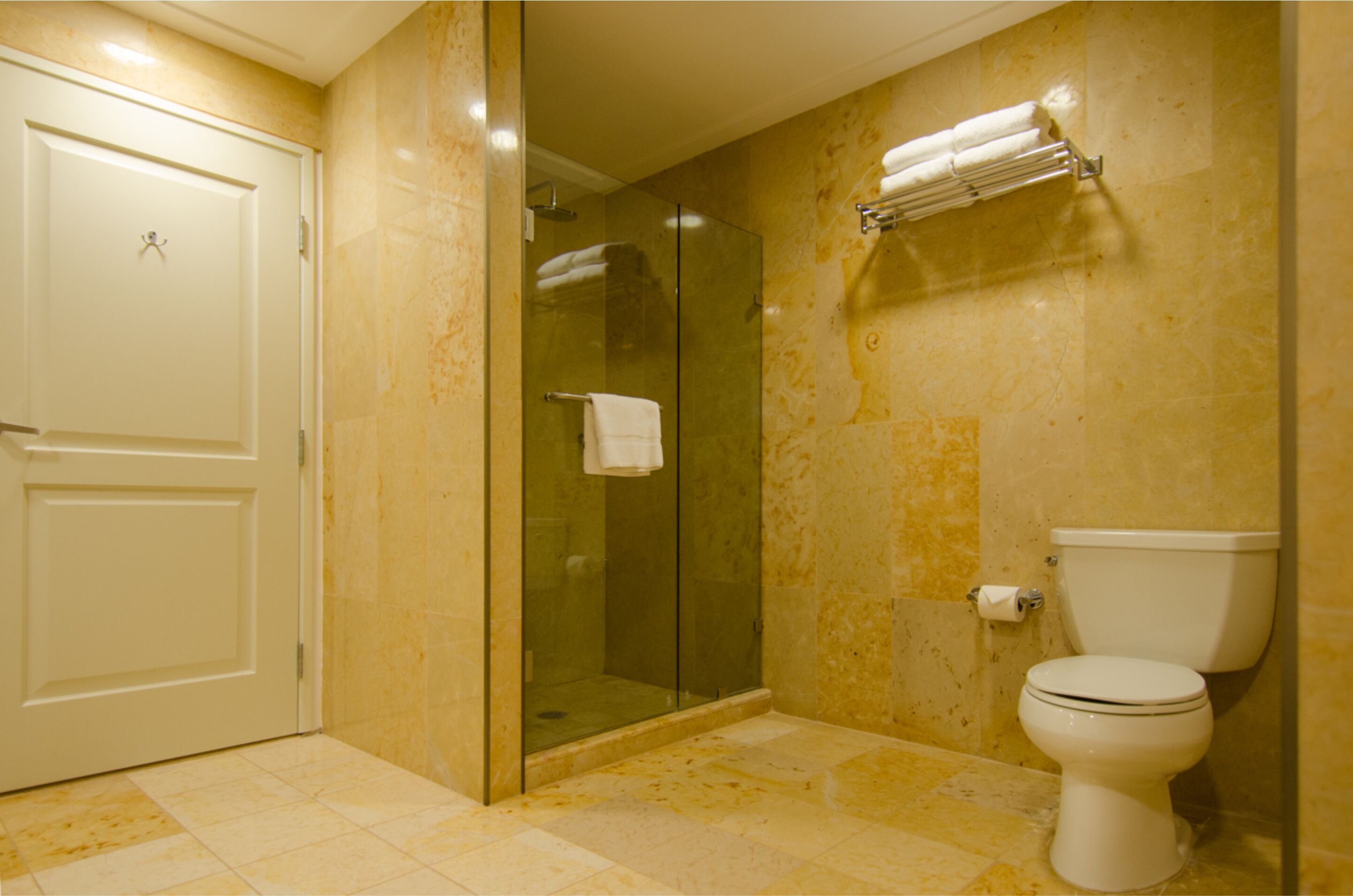 A bathroom with a glass-enclosed shower, a toilet, and a towel rack.