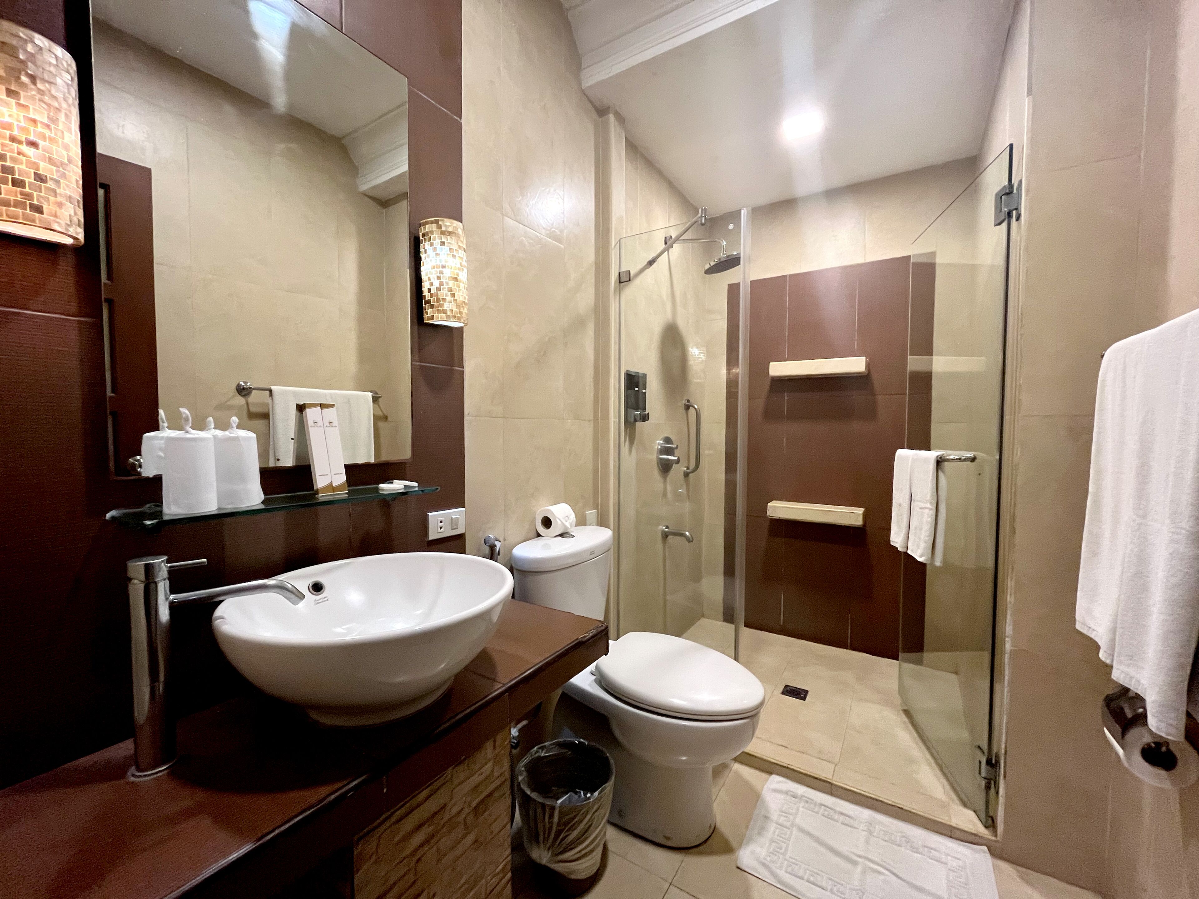 shower, free toiletries, slippers, bidet