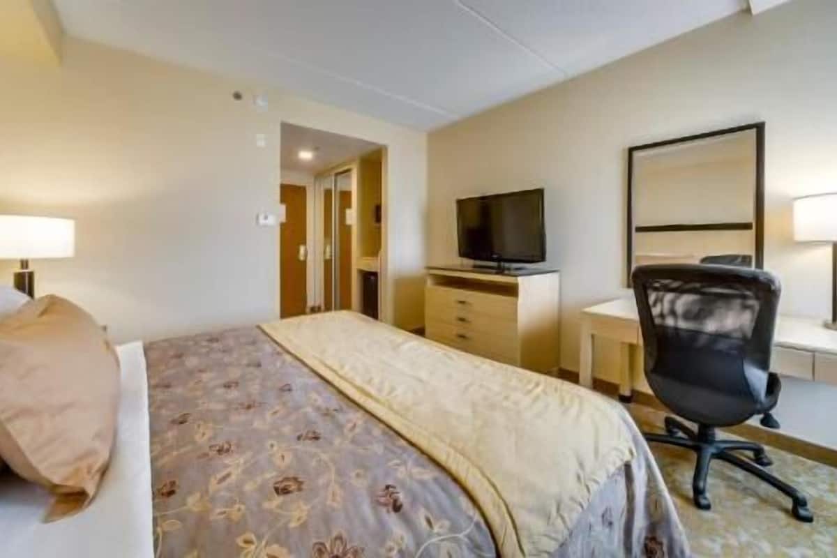 Ropa de cama de alta calidad y cubrecamas