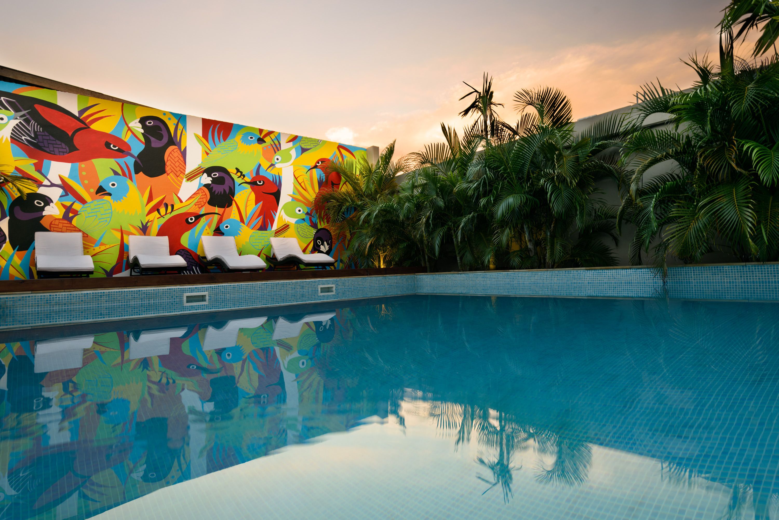 Una piscina con murales coloridos en las paredes, sillas de descanso y palmeras.