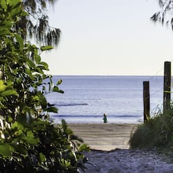 On the beach
