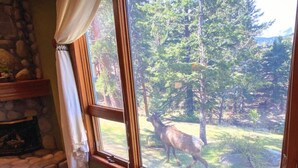 A room with a stone fireplace, a window with curtains, and a view of a deer in a forest.