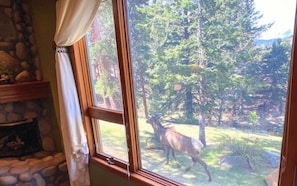 Egyptian cotton sheets, premium bedding, pillow-top beds - Riversong Inn Retreat (Estes Park)