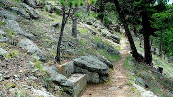 Caminatas