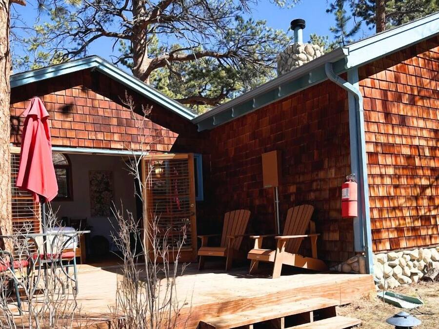 Pasque Flower | Terrace/patio