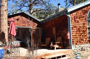 Pasque Flower | Terrace/patio