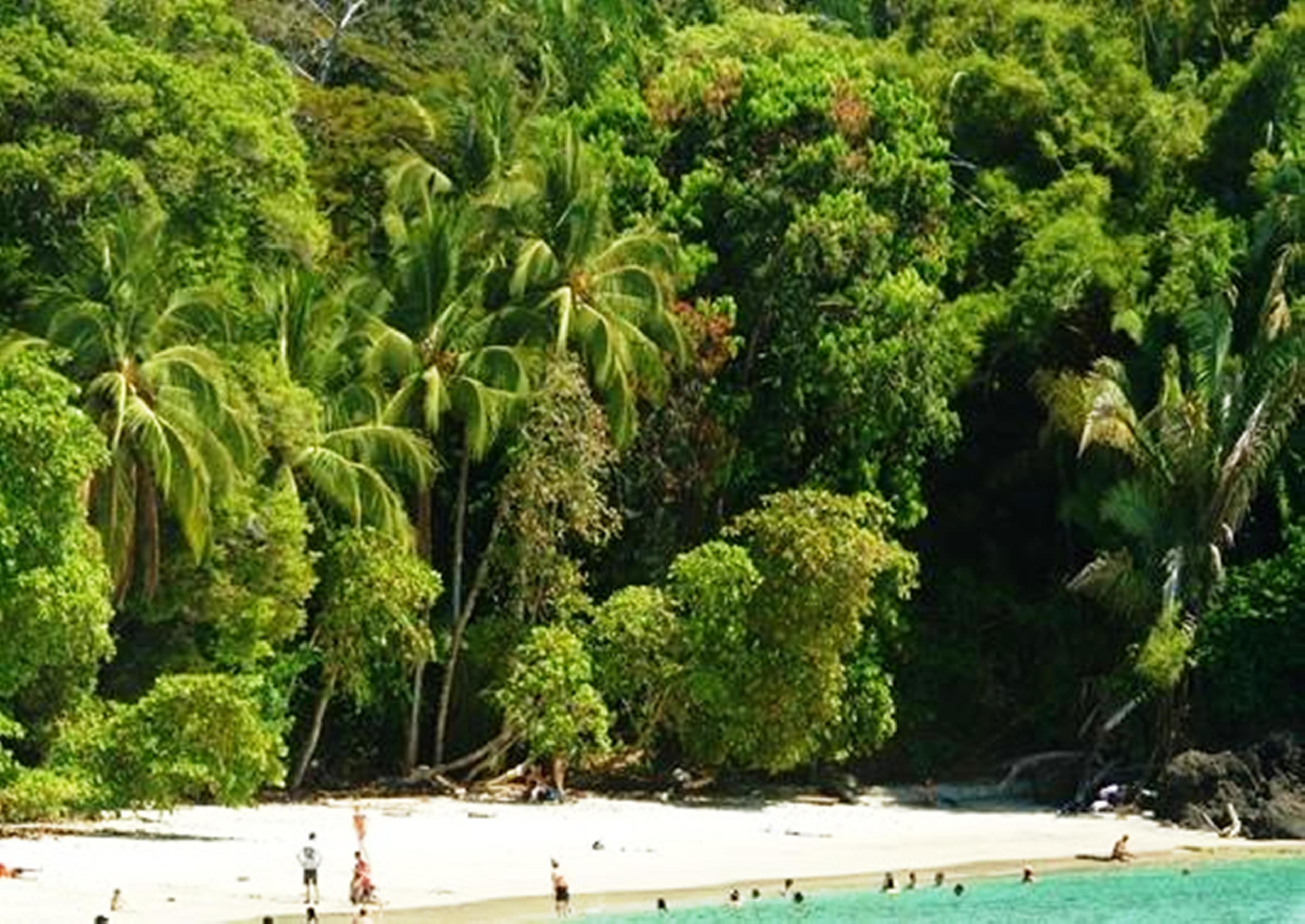 Ubicación cercana a la playa y toallas de playa