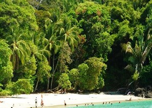 Una spiaggia nelle vicinanze, teli da spiaggia