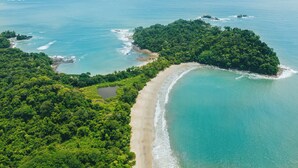 Vue aérienne d’une île tropicale avec une plage de sable, une forêt verdoyante et luxuriante, et des eaux turquoise cristallines.