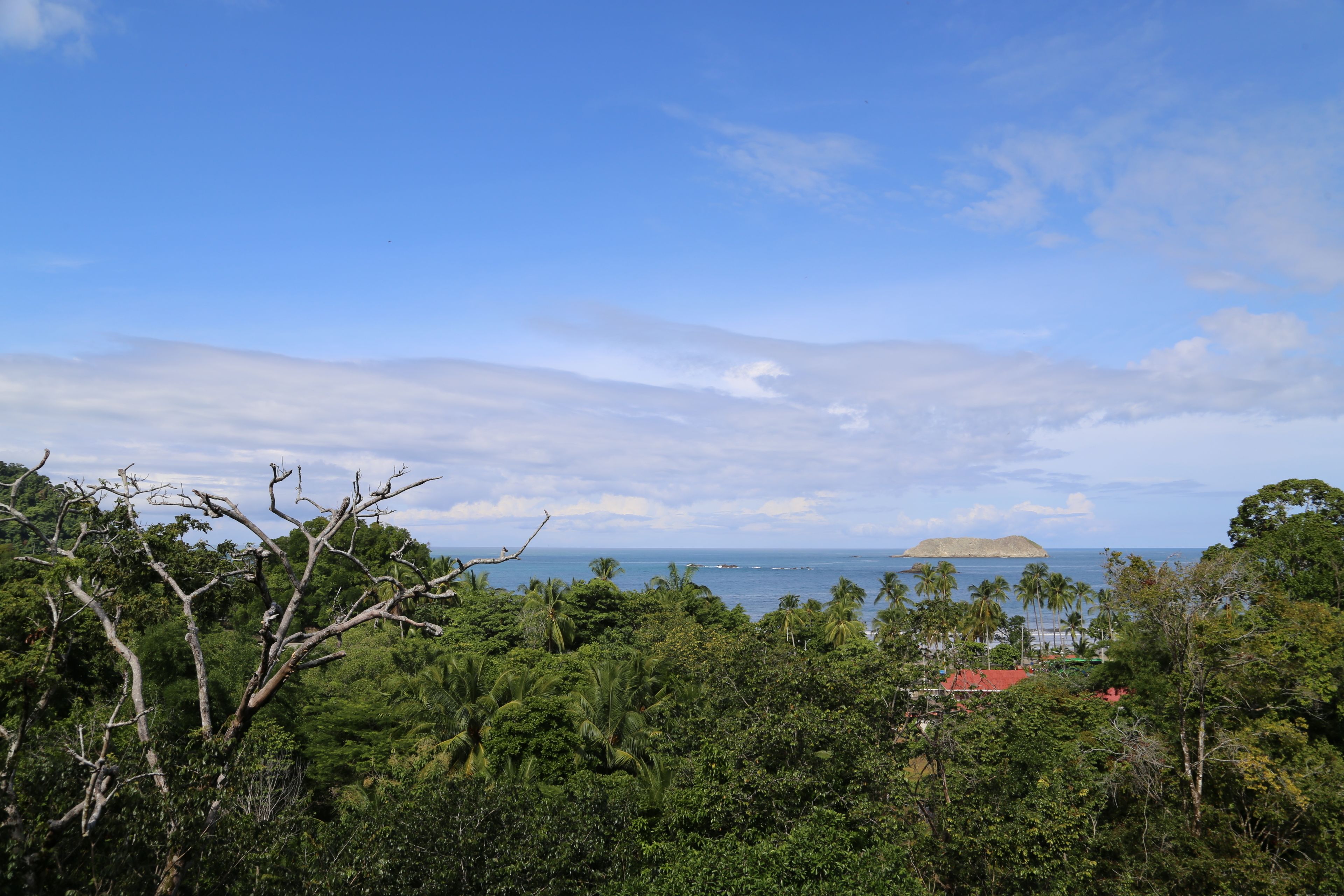 A tropical landscape with dense greenery, a clear sky, and a distant view of the ocean.