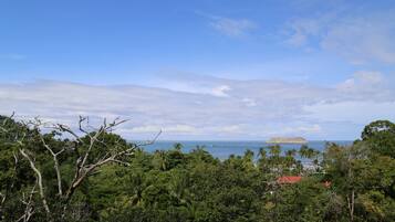 A tropical landscape with dense greenery, a clear sky, and a distant view of the ocean.