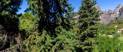 A mountainous landscape with dense evergreen trees and a clear blue sky.